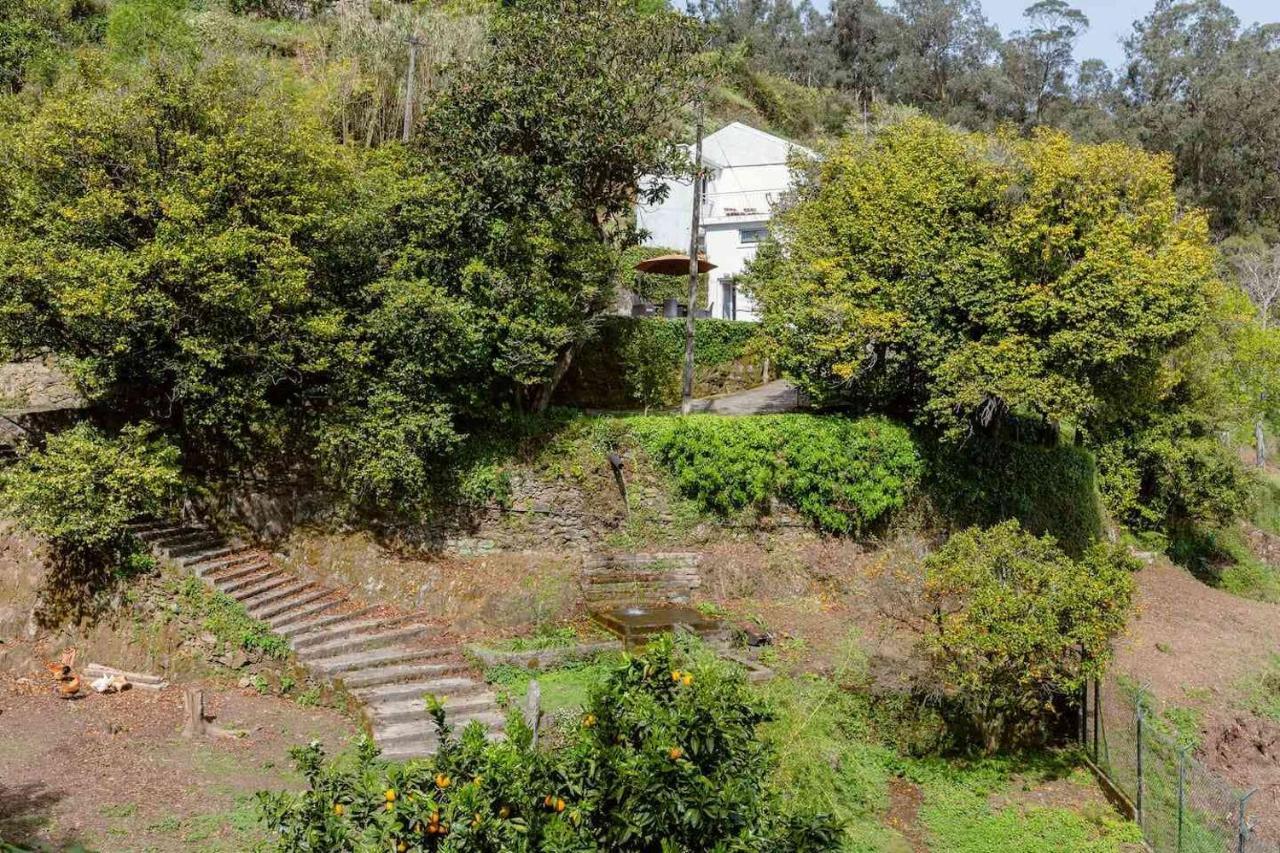 Quinta Da Agraceira Casa Do Caseiro Vila Nova de Gaia Ngoại thất bức ảnh